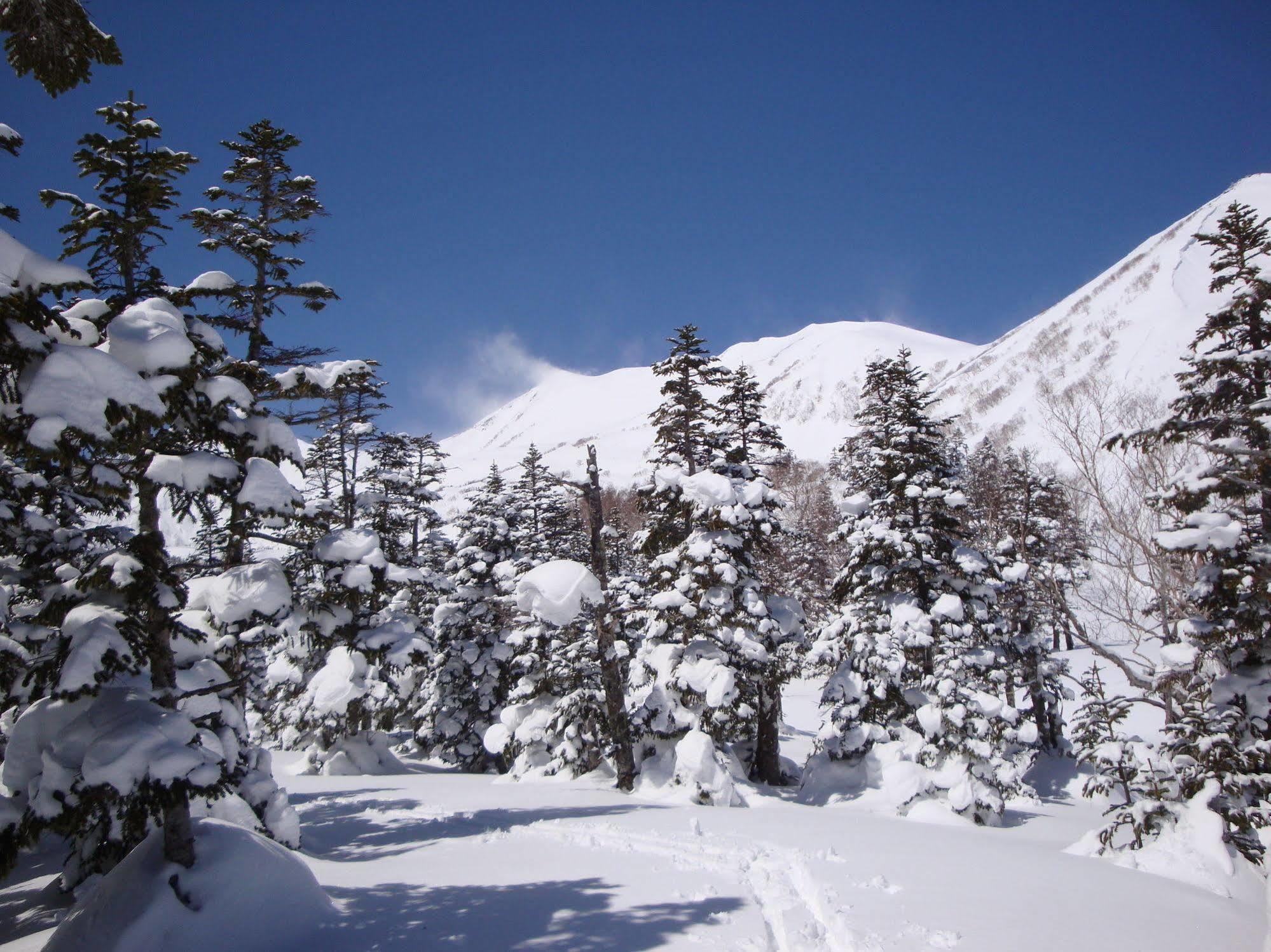 Hotel La Montagne Furuhata Хакуба-Мура Экстерьер фото