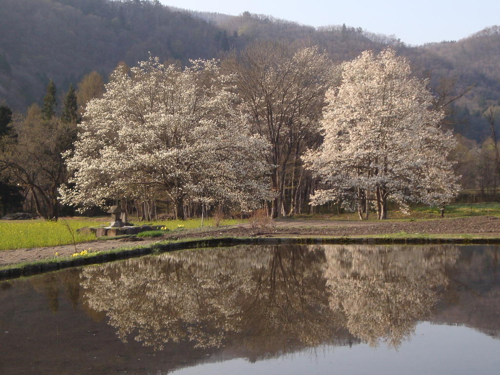 Hotel La Montagne Furuhata Хакуба-Мура Экстерьер фото